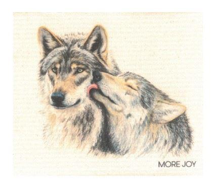 Schwammtuch_Wolfs_Duo