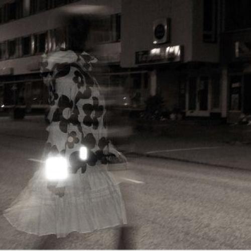 Kirjosilta-Reflektor-sichtbar-in Strassenverkehr-das leuchtet ein