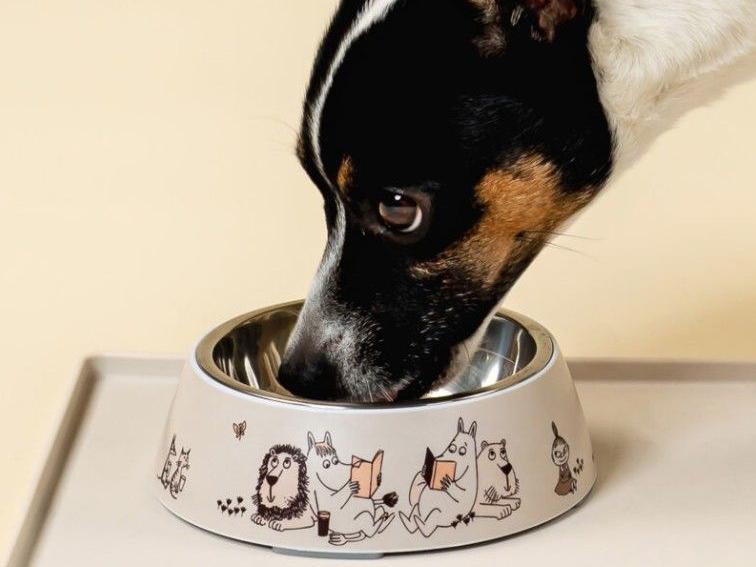 Muurla-Moomin-for-Pets-Fressnapf-Moments-S-lifestyle-1
