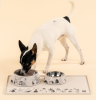 Muurla_Moomin-for-pets_Futternapf_Gr.S